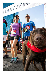 couple and their dog run the race