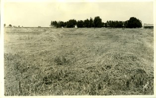 The 1,166-acre ranch and oil leases gifted to Mercy Hospital