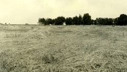 The 1,166-acre ranch and oil leases gifted to Mercy Hospital