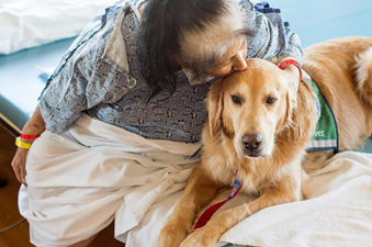 Oliver visiting a patient
