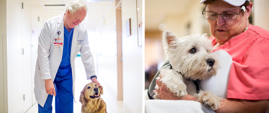 Oliver a Canine getting petted by children